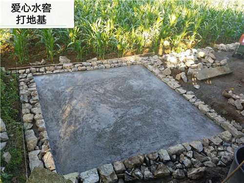 1542010798443074120.jpg